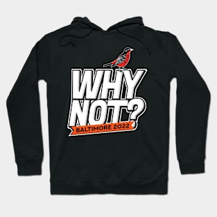 Why Not? 2022 Hoodie